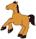 CampHORSE5.gif (3337 bytes)