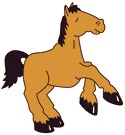 CampHORSE5R.gif (3341 bytes)