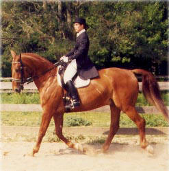 Jennifer Performing Dressage