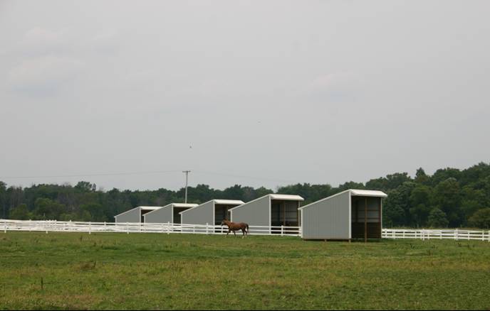 New Pasture Shelters