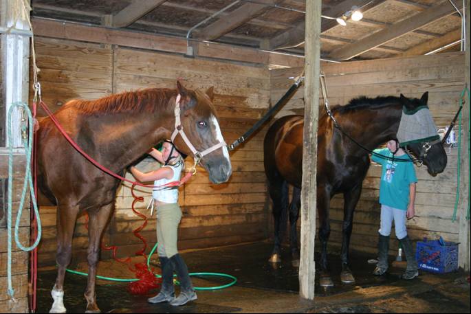 Wash Racks